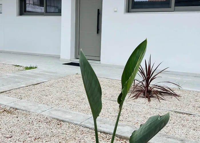 Sofi's Place * إكْسِيا